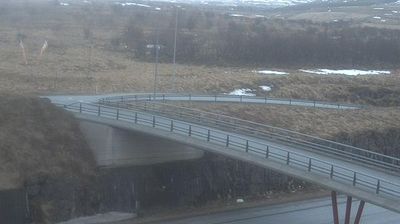 Reykjavík: Leirvogstungumelar