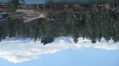 Live webcam in Red Feather Lakes, Amerikas Forenede Stater