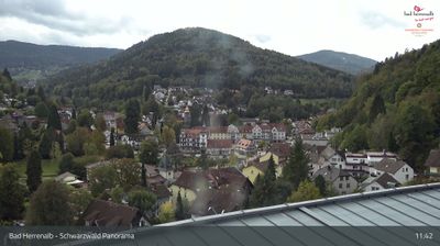 Bad Herrenalb: Schwarzwald Panorama