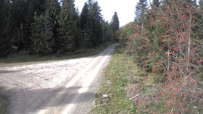 Carlsfeld › North-west: Flössweg