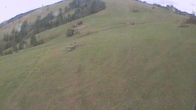 okres Stara Lubovna: Stara Lubovna › Vest: Litmanová - Prešovský, Slovensko: ski Fakľovka 900 m