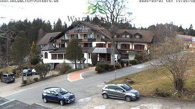 Kniebis › West: Waldblick