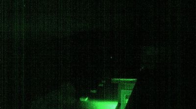 Macquarie Island Station › South-west: Australian Antarctic Division