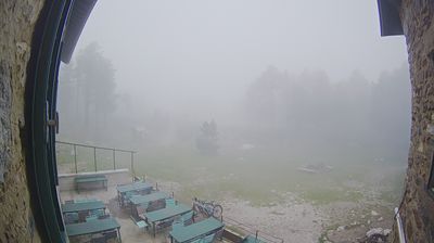 Live webcam in Taurinya, France
