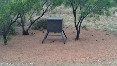 Justiceburg › South: Lake Alan Henry - Texas, United States