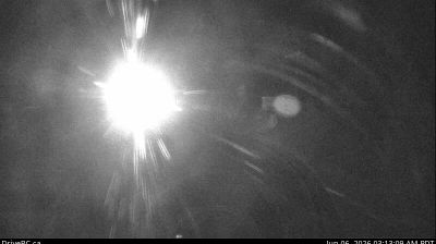 Live webcam in Big Eddy Settlement, Canada