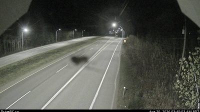 Live webcam in Area A, Canadà