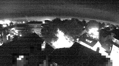 Webcam Aulendorf: storks