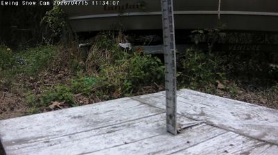 Ewing › Βορειοανατολικά: New Jersey, United States: Snow board