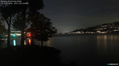 Webcam Faulensee › North-west: Kantonaler Hafen Güetital