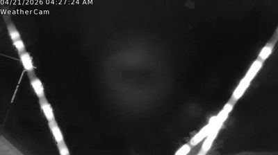 Monroe › North-west: Louisiana, United States