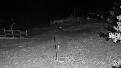 Live webcam in Alp, Spain