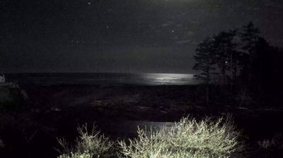 Live webcam in Kalaloch, Estats Units d'Amèrica