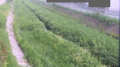 上尾市: あげおしも - 埼玉県, 日本