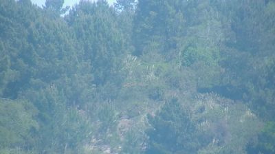 Live webcam in Morcenx-la-Nouvelle, França