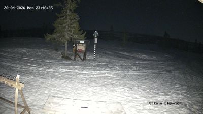 Kuasen › Sud-est: Elgåsen - Hedmark fylke, Norge