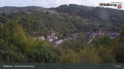 Wildberg: Schafscheuernberg