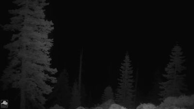 Live webcam in Yosemite Lodge, Estats Units d'Amèrica