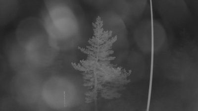 Live webcam in Årdal, 노르웨이