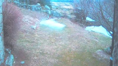 Pont de Montvert - Sud Mont Lozere › East: Bois du Commandeur