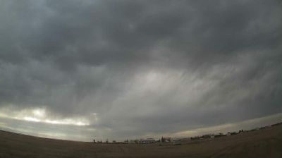 North Battleford › Vest: true