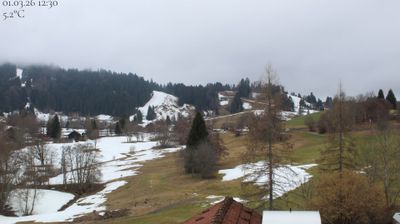 Oberstaufen › West: STEIBIS