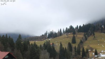 Oberstaufen › South: Hochgrat