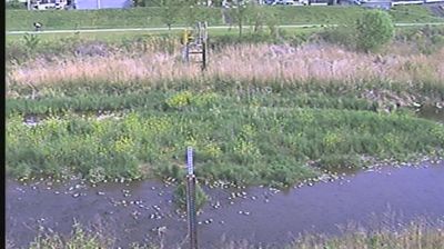 Live webcam in Hachioji, Japó