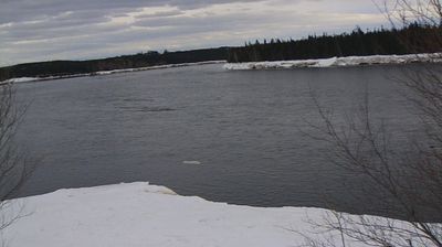Live webcam in Badger, Canada