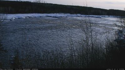 Live webcam in Badger, Canadà