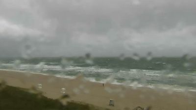 Sylt: Rantum: Livespotting - Live vom endlosen feinen Sandstrand in - auf SYLT