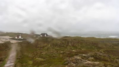 Kampen: Livespotting - Live aus den Dünen von - auf SYLT am Roten Kliff