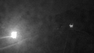 Banff › West: Highway 1 east of Sunshine Ski Hill overpass in Alberta, looking west