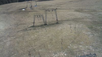 Schonwald im Schwarzwald