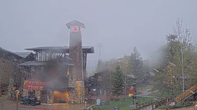 Live webcam in Jackson, Estats Units d'Amèrica