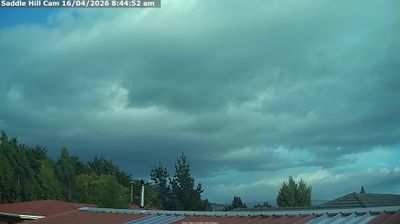 Live webcam in Dunedin, 新西兰