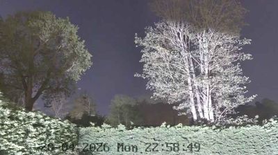 Mole Valley › Sud: Great Bookham - Leatherhead