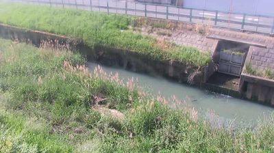 Ageo › Југозапад