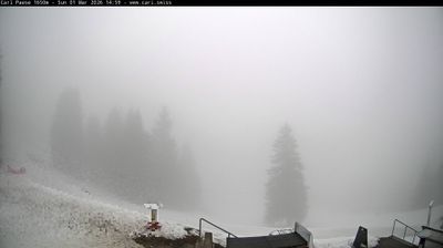 Faido: Nuova Carì Impianti Turistici SA