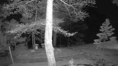 Live webcam in Durango, الولايات المتّحدة الأمريكيّة