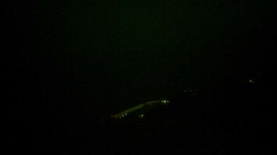 Live webcam in Finale Ligure, Itàlia