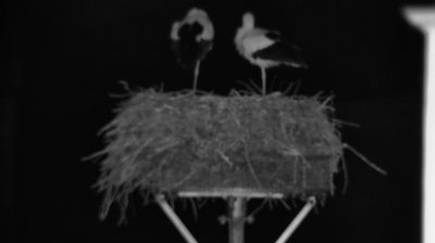 Neustadt an der Waldnaab