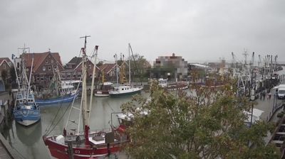 Neuharlingersiel: Wirrenburg: Livespotting - Live-Streaming im Fischereihafen Neuharlingersiel