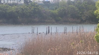 Live webcam in 大田区, ژاپن