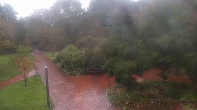 Bad Zwischenahn: Livespotting - Live-Stream aus dem Kurpark am Zwischenahner Meer