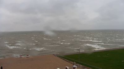 Busum: Livespotting - Live am Hauptstrand in - an der Nordseeküste