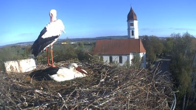 Live webcam in Illerkirchberg, Alemanya