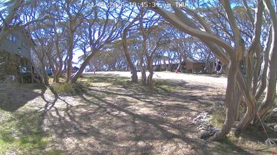 Harrietville: Mount Hotham