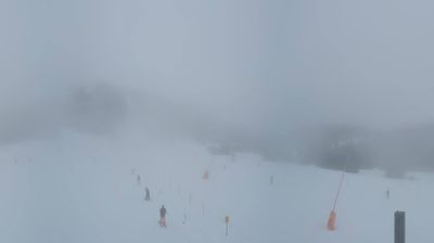 Gemeinde Ehrwald: Ehrwald - Almbahn