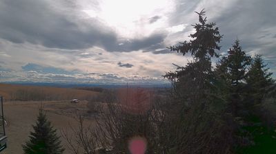 Live webcam in Black Diamond, Canadà
